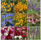 Garden Sprinkles