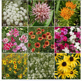 Garden Sprinkles