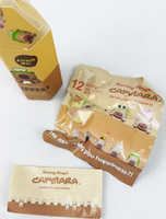 Cute Capybara Hippers Blind Box