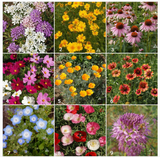 Garden Sprinkles