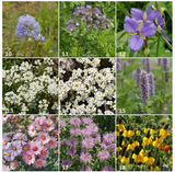 Garden Sprinkles