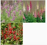 Garden Sprinkles