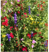 Garden Sprinkles