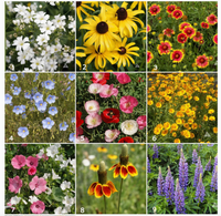 Garden Sprinkles