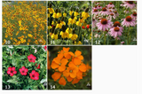 Garden Sprinkles