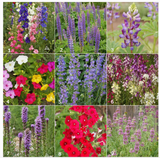 Garden Sprinkles